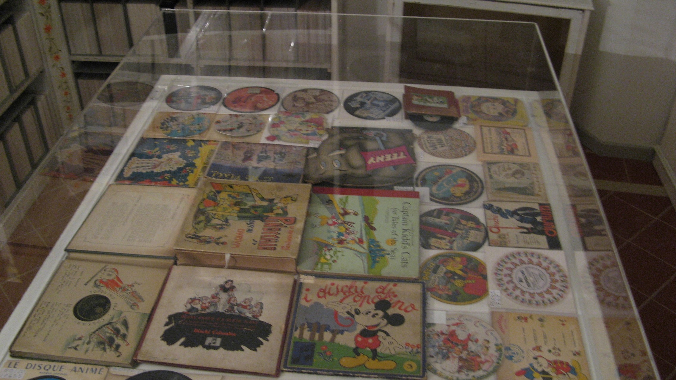 n_54- Collezione storica di dischi antichi.jpg